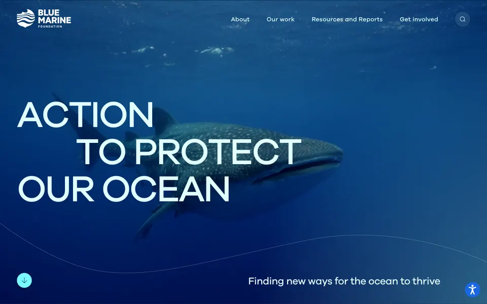 Blue Marine Foundation: poster