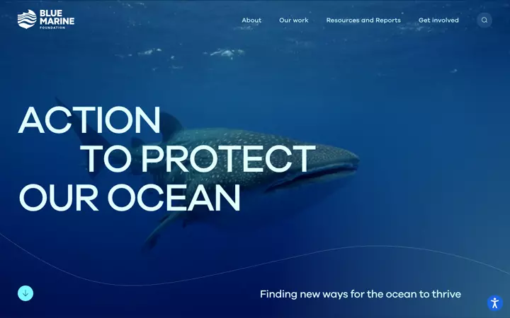 Blue Marine Foundation, Intro, 1440 px, 7 s, poster