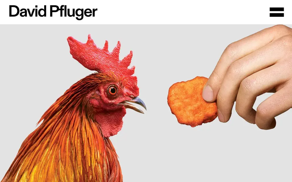 David Pfluger: pinned